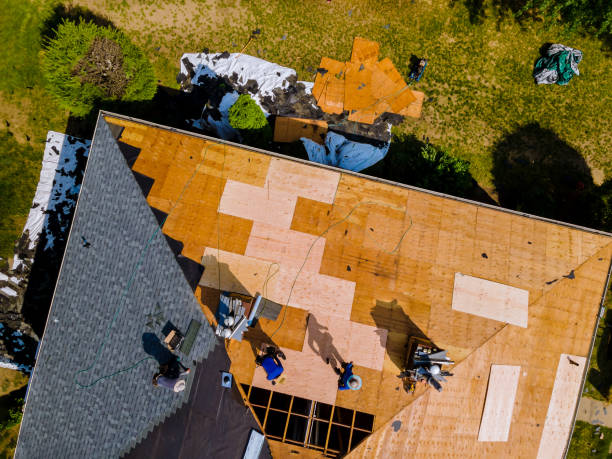 Quick and Trustworthy Emergency Roof Repair Services in Dudley, NC