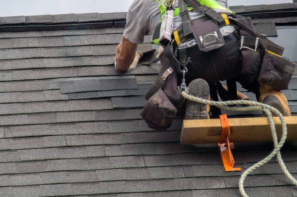 Gutter Installation and Roofing in Dudley, NC