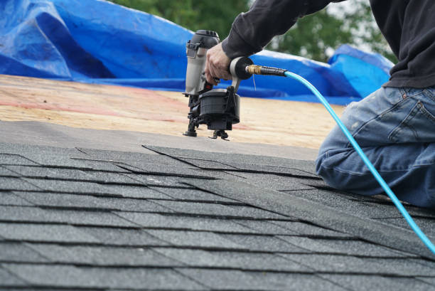 Professional Roofing Contractor in Dudley, NC